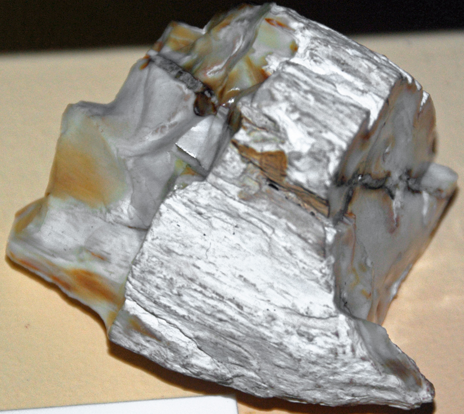 Opalized fossil wood with the wood grain preserved in white and gray opal, Nebraska State Museum of Natural History