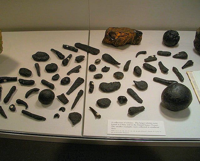 Tektites fossil