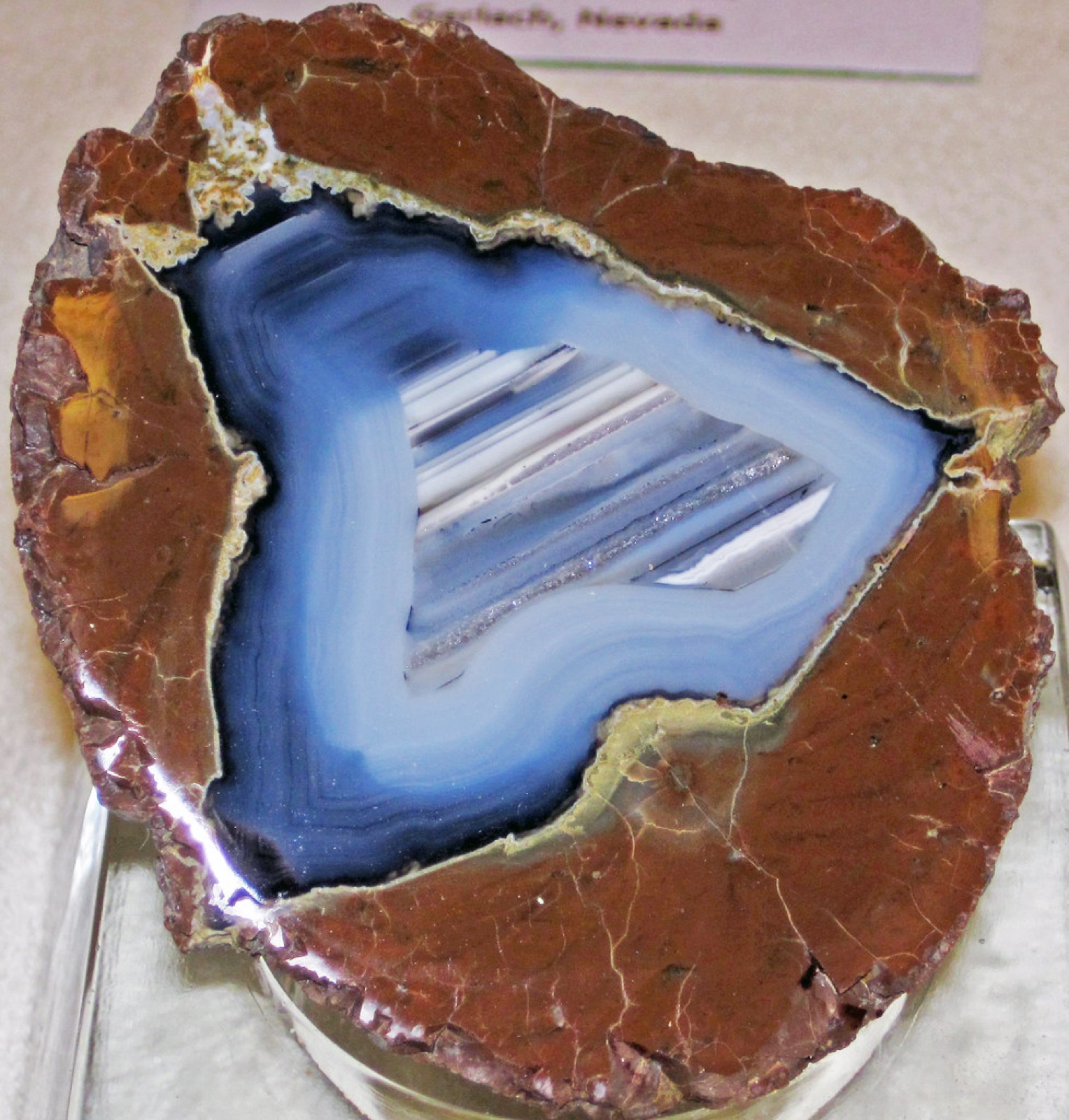 Cut thunderegg from the Priday beds, brown rhyolite rind outside and blue banded agate inside